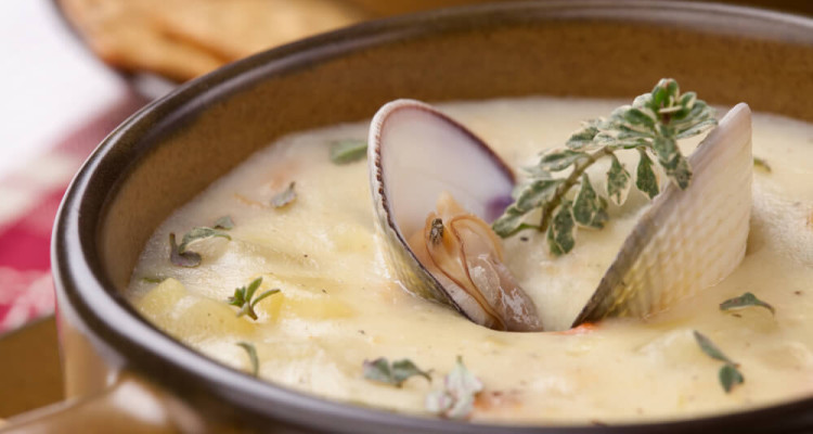 Clam Chowder - Schmackhafte Muschelsuppe auf amerikanische Art