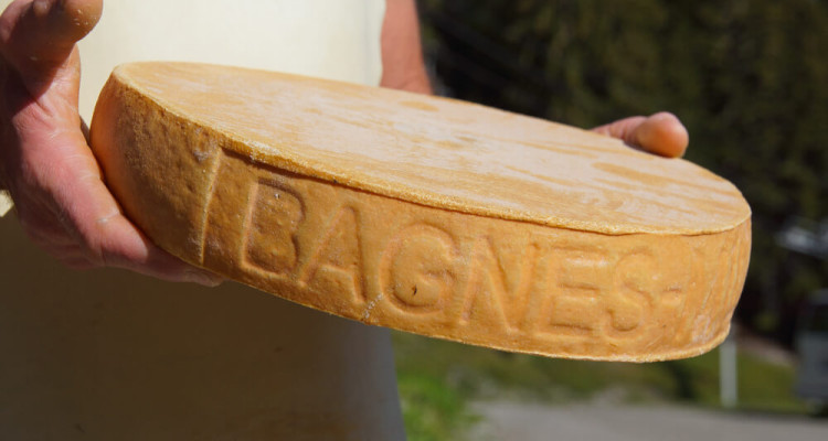 Bagnes-Mille - Ein Raclettkäse für Gourmets