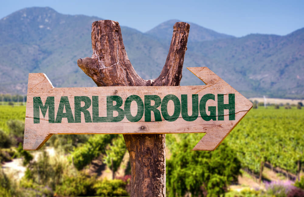 Marlborough - Eines der größten Weinanbaugebiete