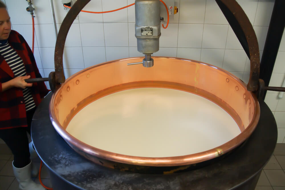 Raclette Käse herstellen - Schritt 1