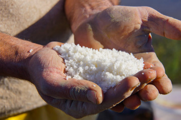 Fleur de Sel de Guérande