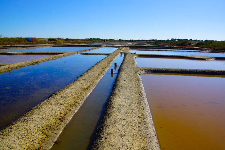 Fleur de Sel de Guérande Alles über Salz & die Salzernte in der Bretagne