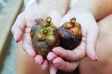 Frische Mangosteen - Gesunde Früchte