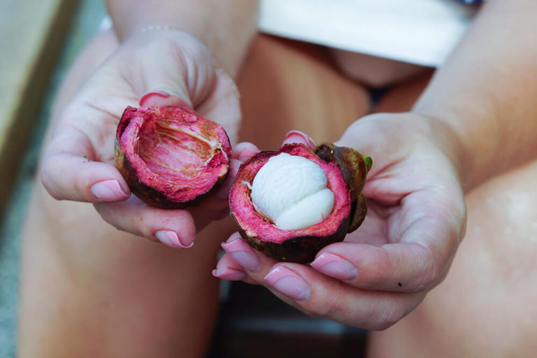 Mangosteen - Die Königin der Früchte - Vorteile der Mangostan