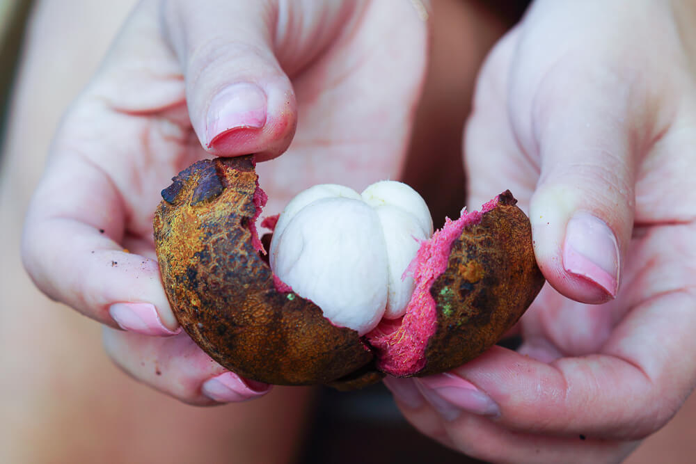Mangosteen schälen - Einfach gemacht