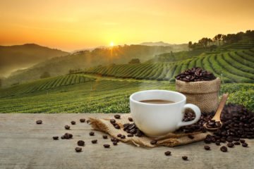 Der perfekte Espresso