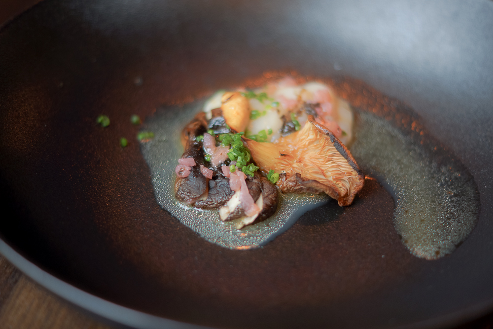 Scallop from Øygarden, Shiitake from Trondheim and salted plums 2