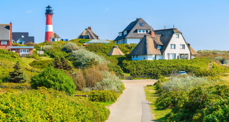Typisch entspannende Landschaft auf Sylt