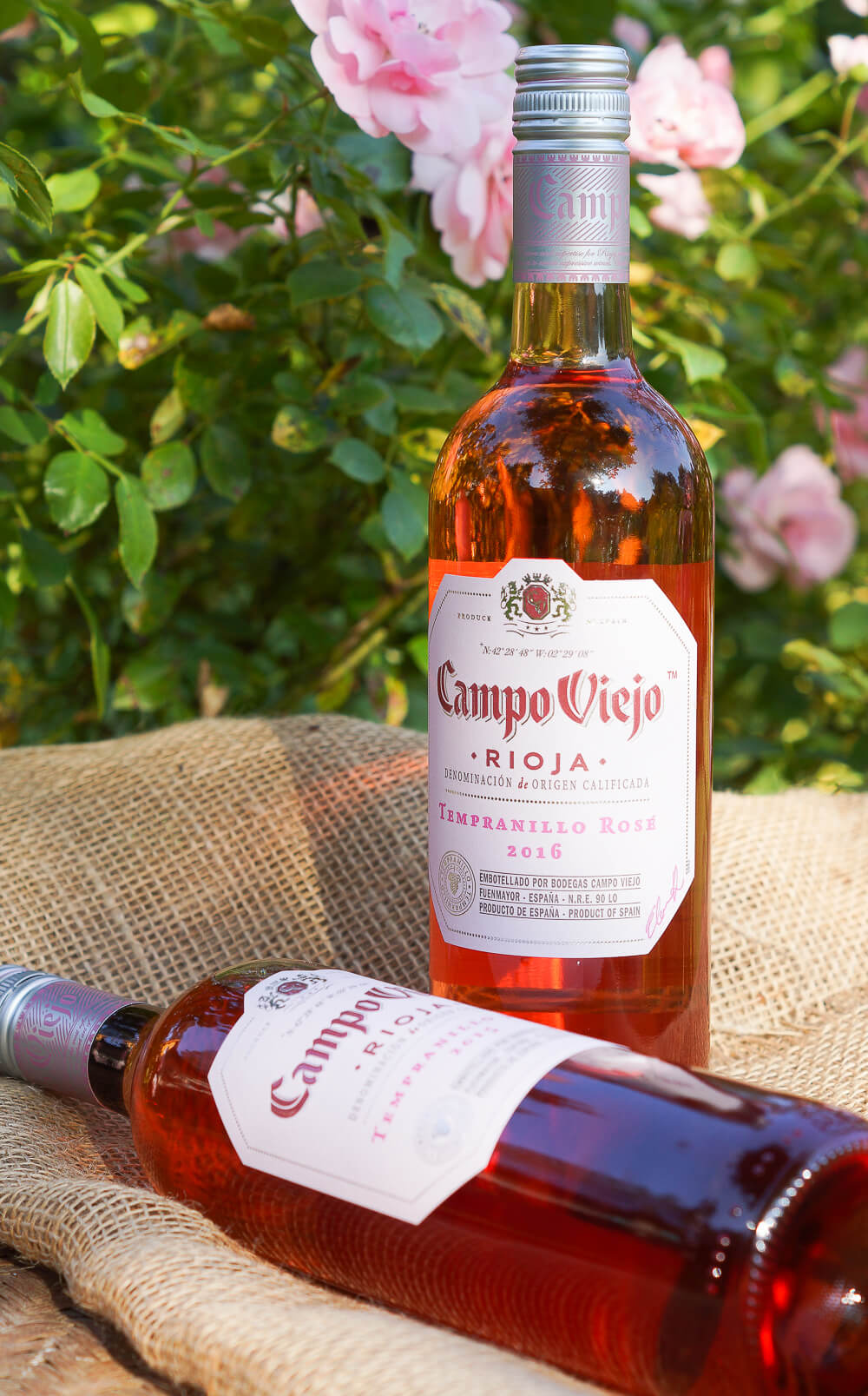 Campo Viejo Tempranillo Rosé 1