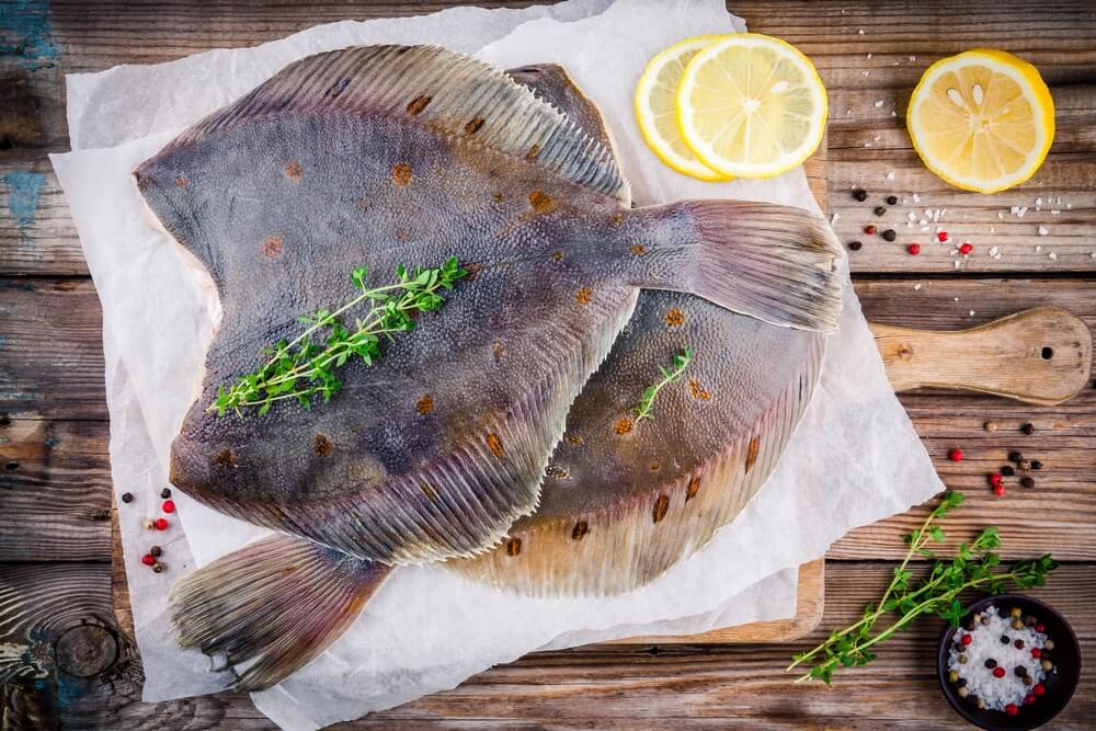 Fisch auf Borkum genießen