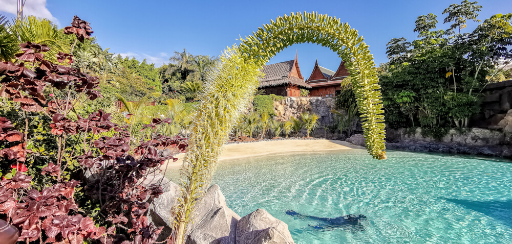 Siam Park, Teneriffa - Pool mit Robben