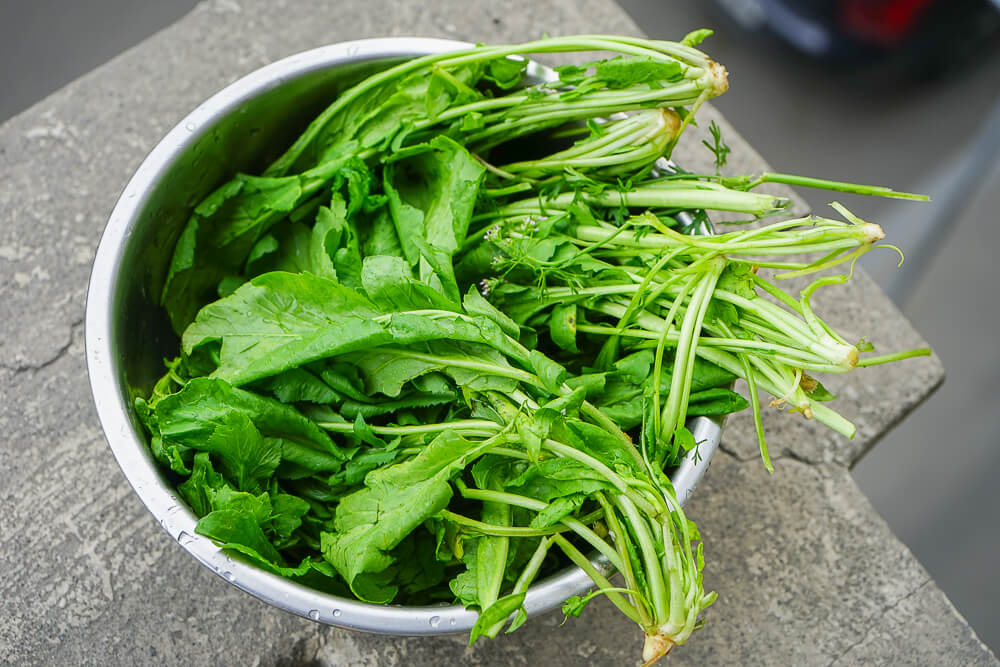 Supra Zeremonie, Georgien - viel frische Kräuter und Salate