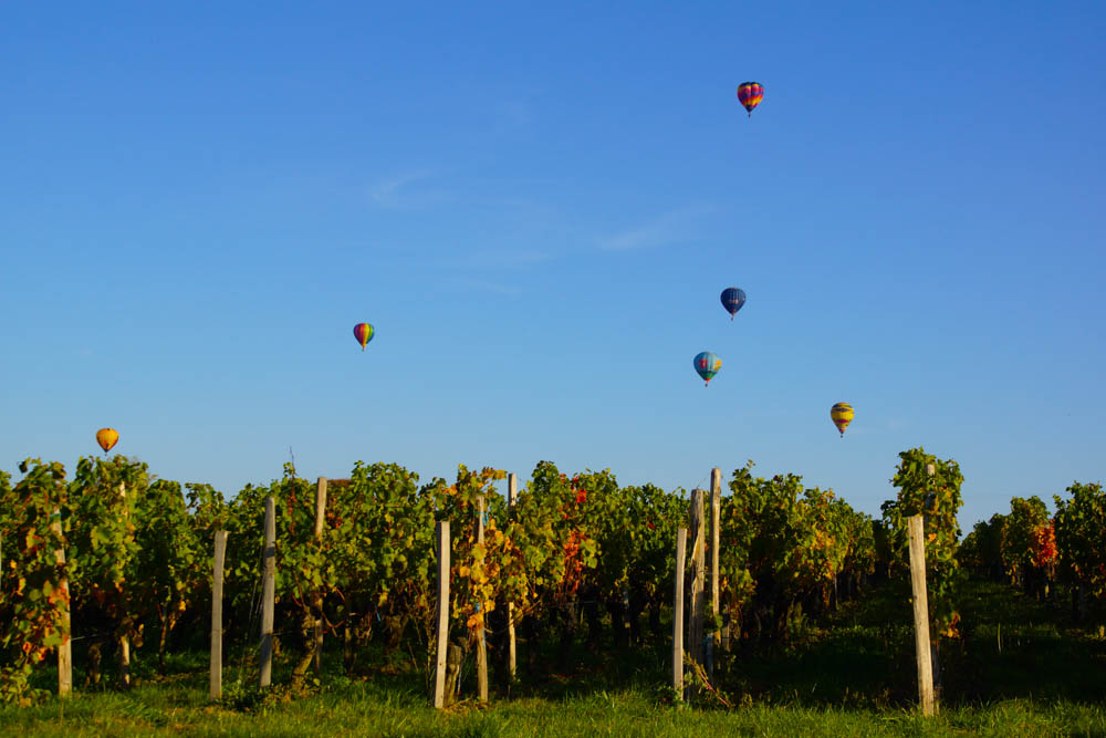 Chateau Franc Pourret, Saint-Emilion - Wein und Ballons