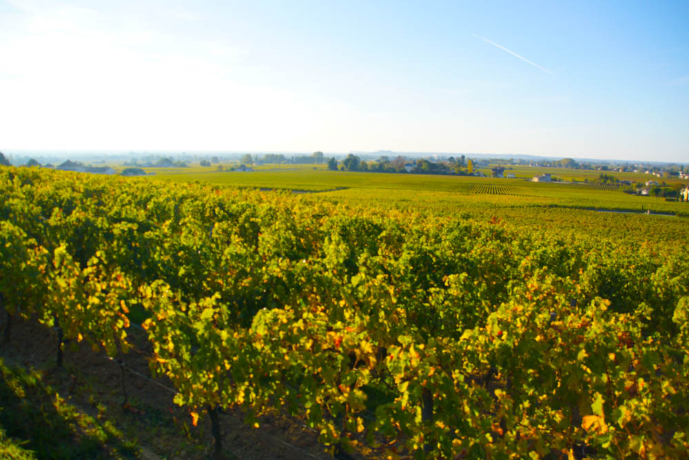 Chateau Franc Pourret, Saint-Emilion und die Weinebene