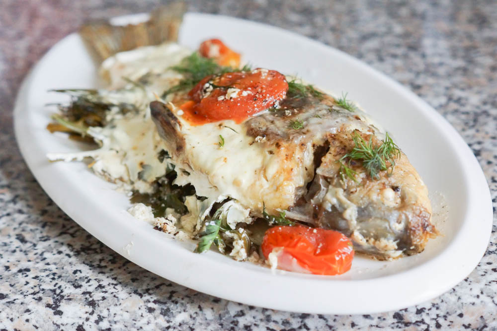 Karausche mit Kräuterfüllung, Smetana und Tomaten 1