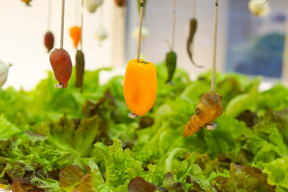 Twins Garden Restaurant Moskau - Gartenkreation im Restaurant