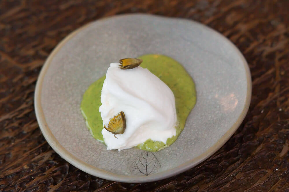 Twins Garden Restaurant Moskau - Tagesfrische Burrata und Kräuter