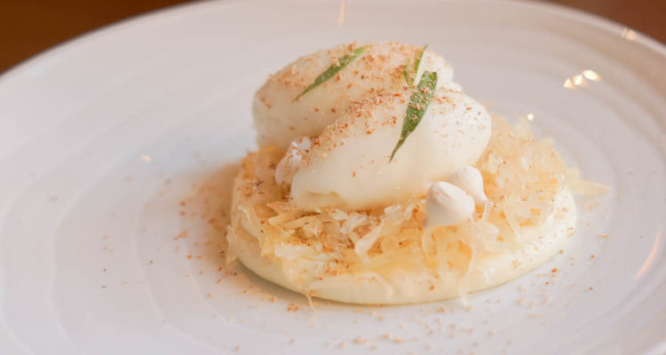 Bourgeois Bohemians, St. Petersburg -Pomelo Interpretation