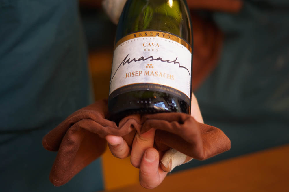 Josep Masachs Cava brut
