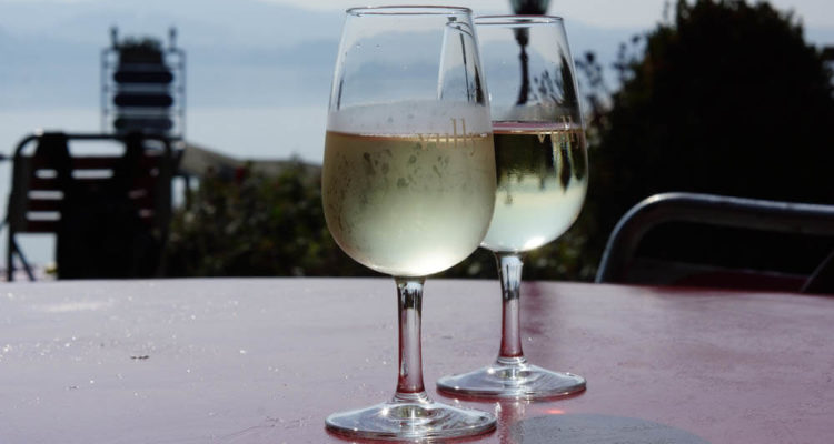 Vully Weißwein genießen bei Traumwetter