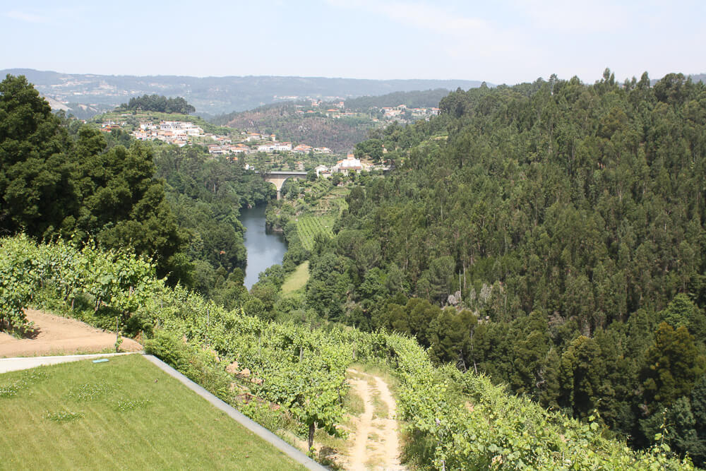 Vinho Verde Region in Portugal 1