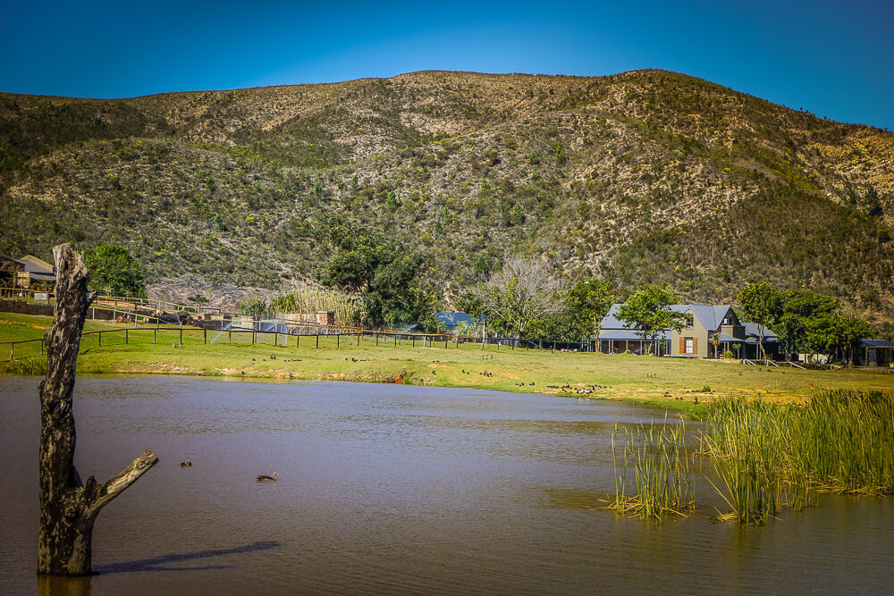 Botlierskop Private Game Reserve - Park