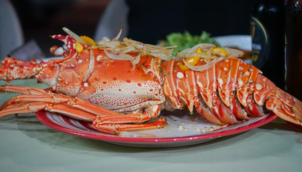 Food & Rum Festival Barbados - stattliche Hummer vom Grill