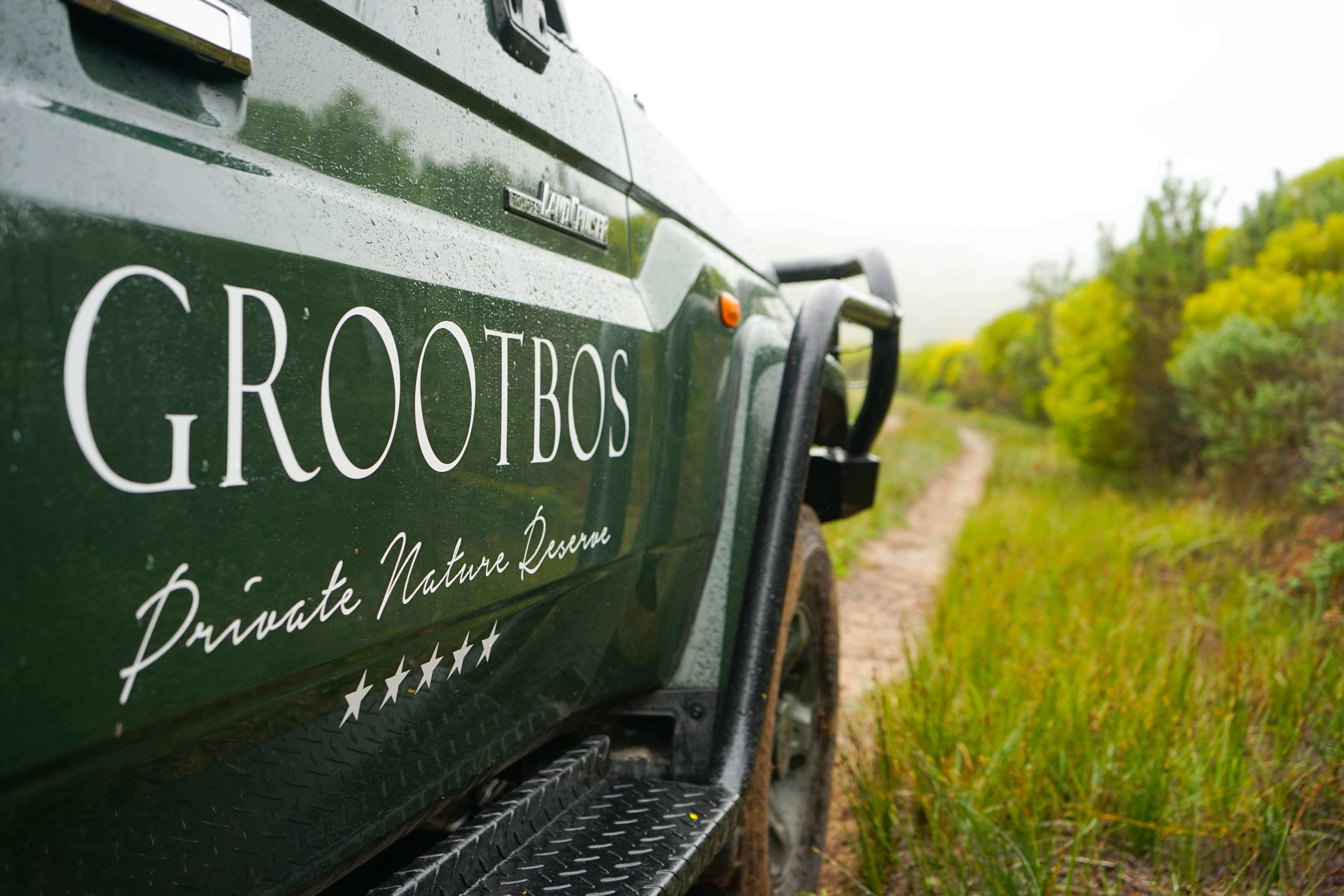 Grootbos Private Nature Reserve - Fynbos Tour durch den Park mit Jeep