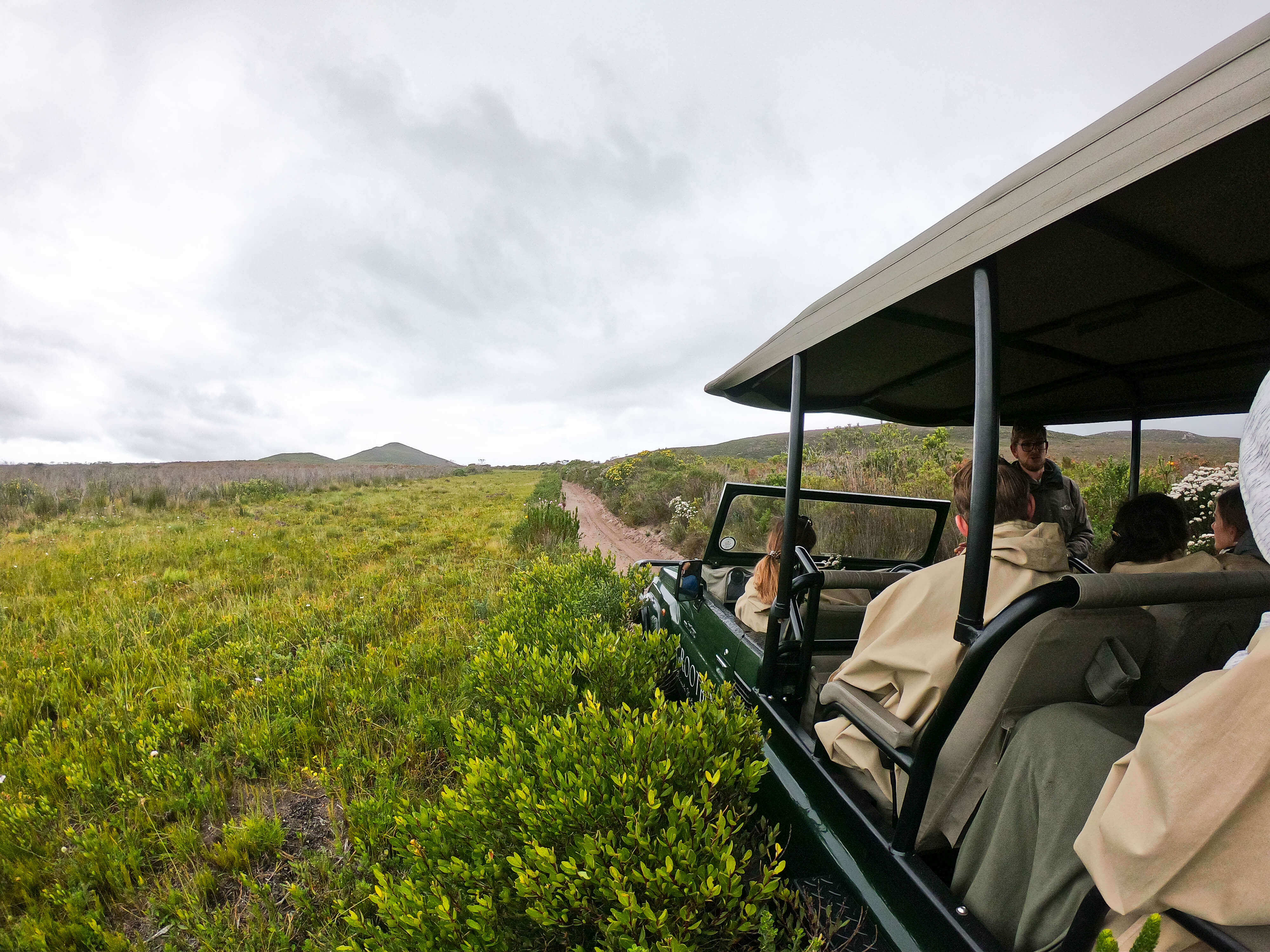 Grootbos Private Nature Reserve - Tour durch den Fynbos Jungle