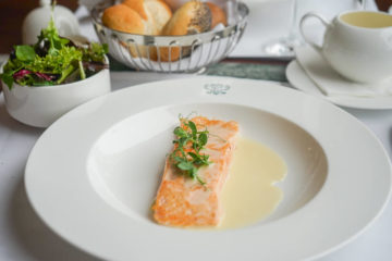 Confierter Lachs mit gemischtem Salat 2