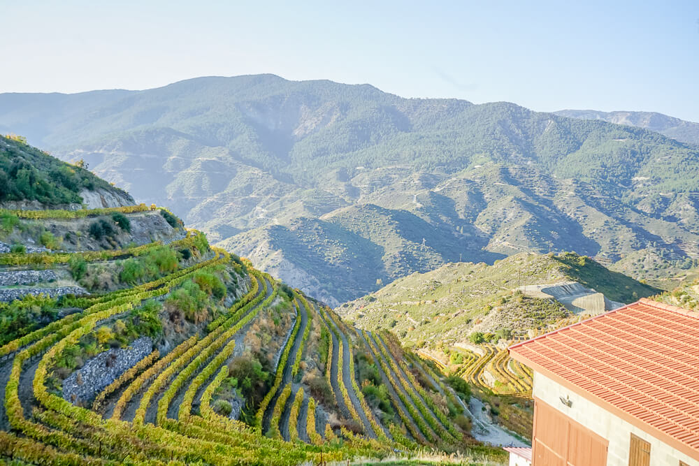 Tsiakkas Weingut Zypern - Wein in Terrassenform angebaut
