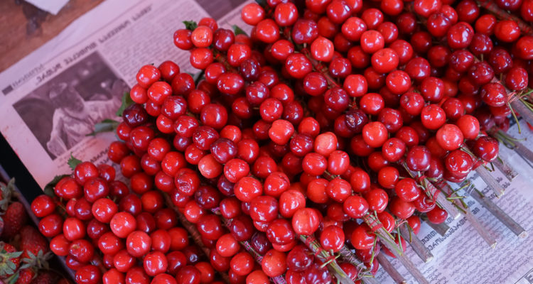 Dezerter Bazaar Tsibili, Georgien - Kirschen fein aufgefädelt