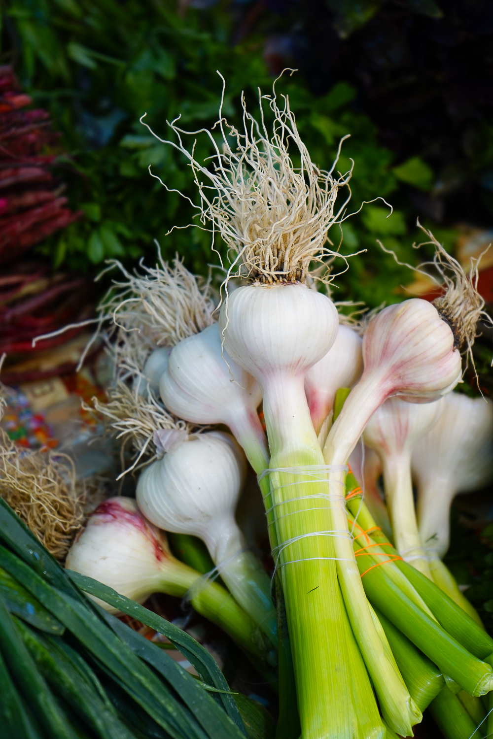 Dezerter Bazaar Tsibili, Georgien - Knoblauch und Lauch
