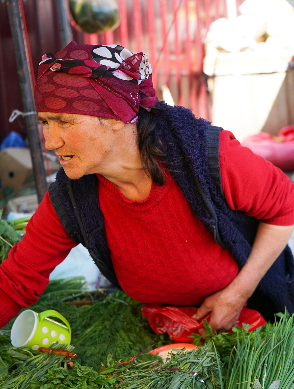 Dezerter Bazaar Tsibili, Georgien - Marktfrau die Kräuter verkauft