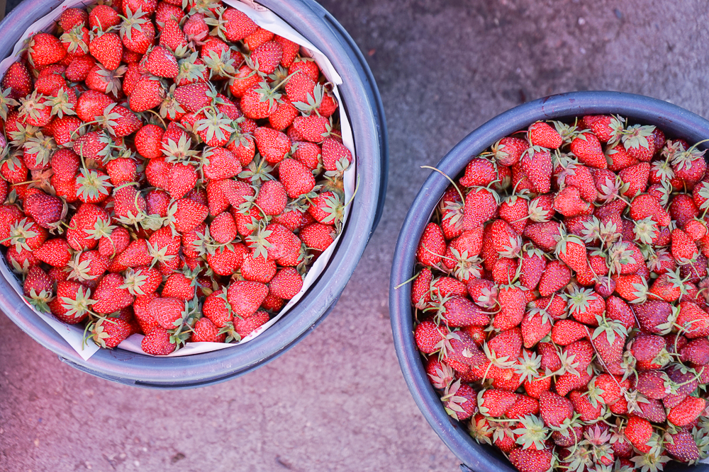 Dezerter Bazaar Tsibili, Georgien - alles duftet nach Erdbeeren