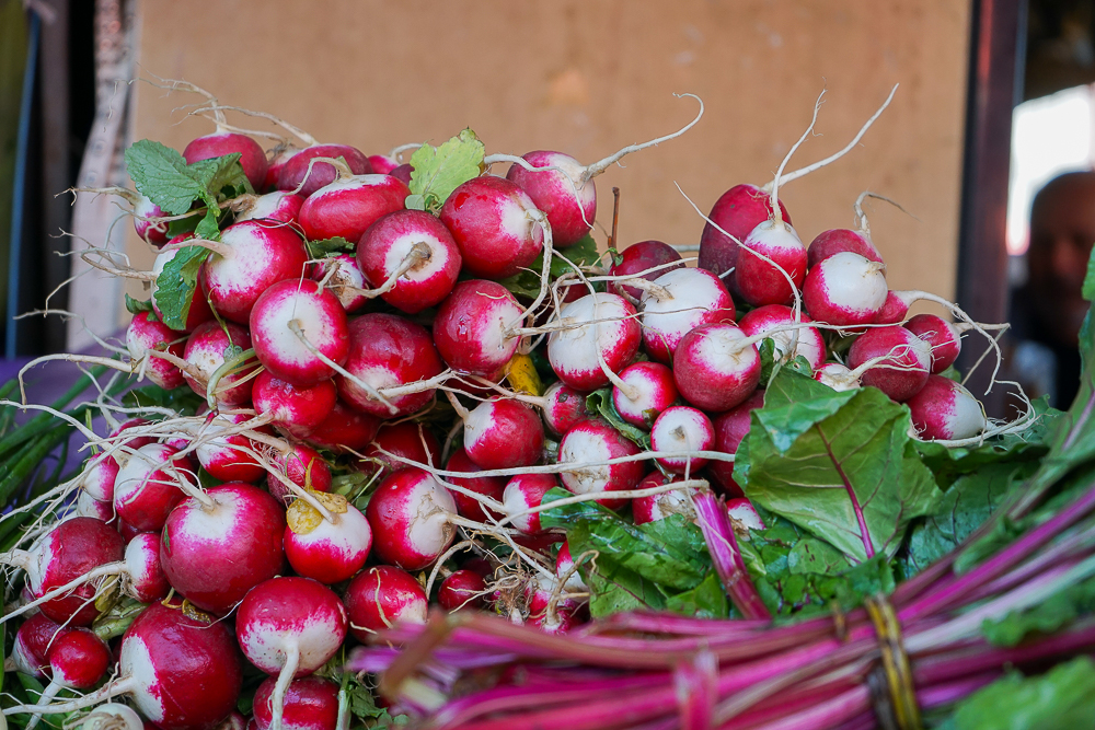 Dezerter Bazaar Tsibili, Georgien - beste Radieschen