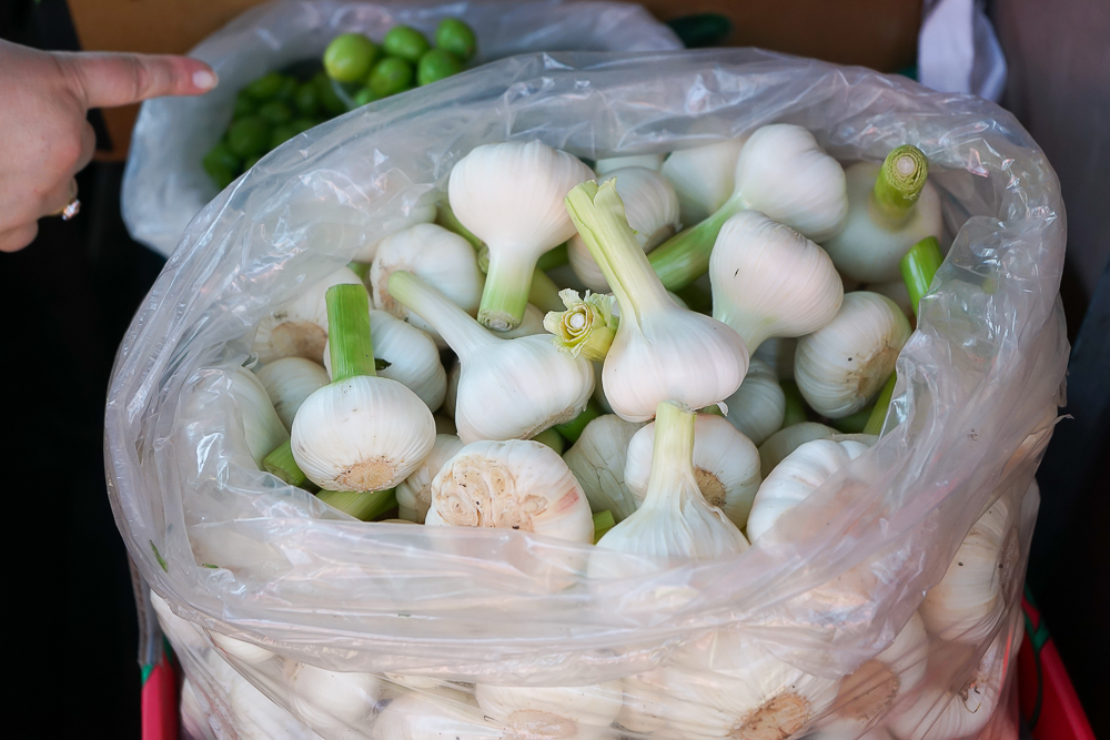Dezerter Bazaar Tsibili, Georgien - frischer Knoblauch
