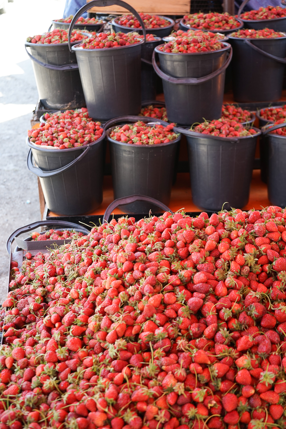 Dezerter Bazaar Tsibili, Georgien - köstlich frische Erdbeeren