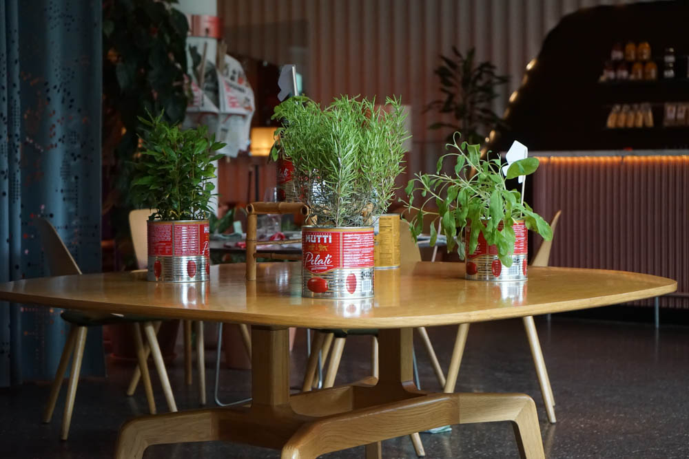 Kräuter in alten Tomatendosen - grandiose Idee