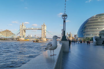 London entdecken - Die Themse