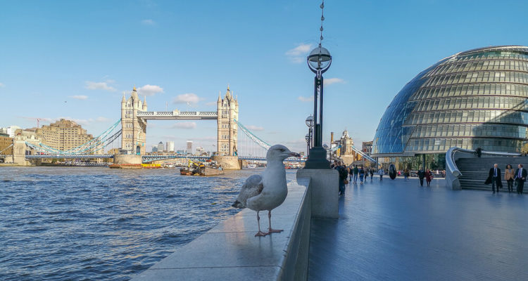 London entdecken - Die Themse