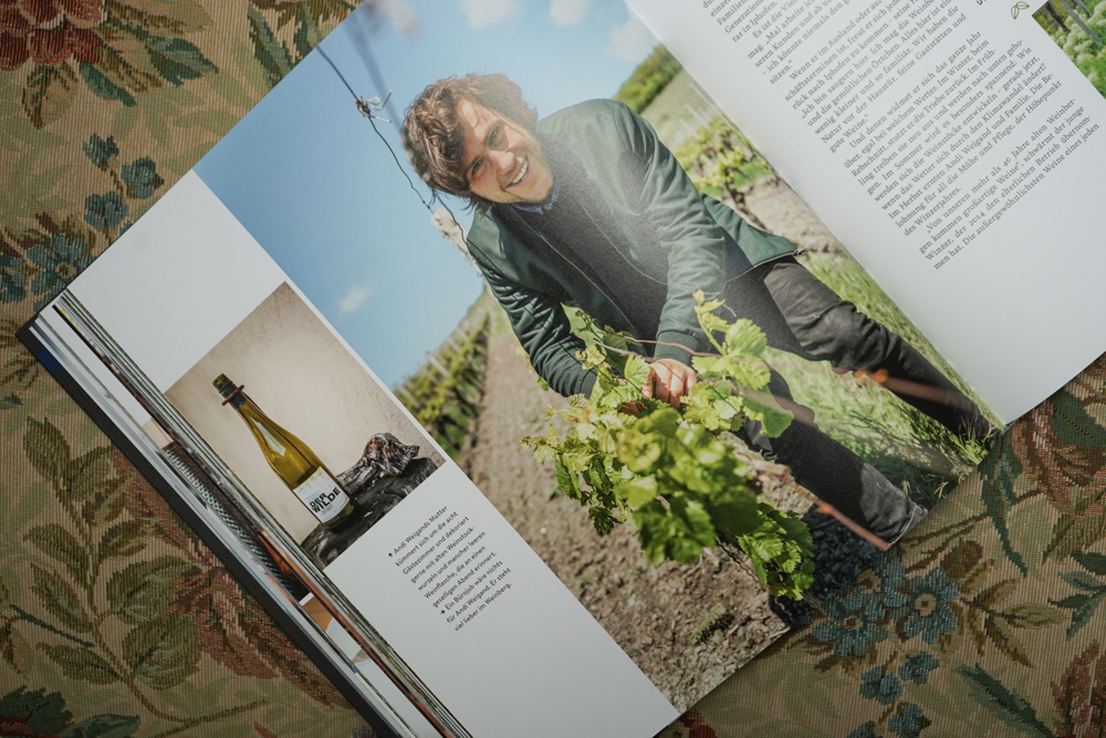 Zu Gast in Bayern - Weinbau in Bayern