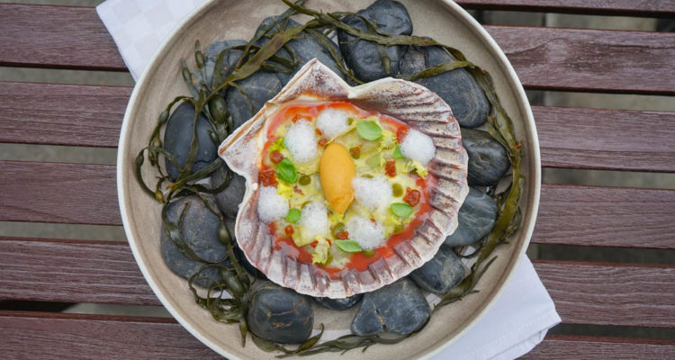 Restaurant Florhof, Zürich - Ceviche von der Jakobsmuscheln, Artischoke, Tomaten
