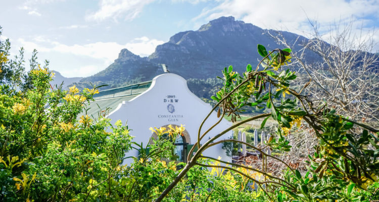 Constantia Glen Weingut, Südafrika - Weingut und Berge