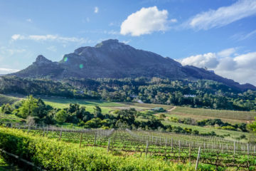 Constantia Glen Weingut, Südafrika - Weinreben und Berge