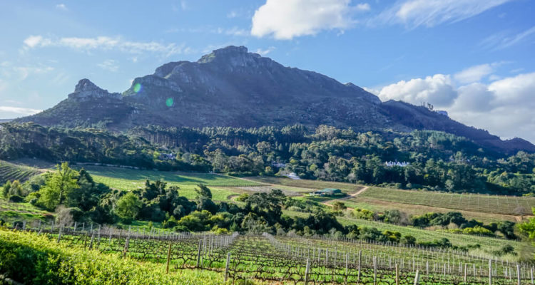 Constantia Glen Weingut, Südafrika - Weinreben und Berge