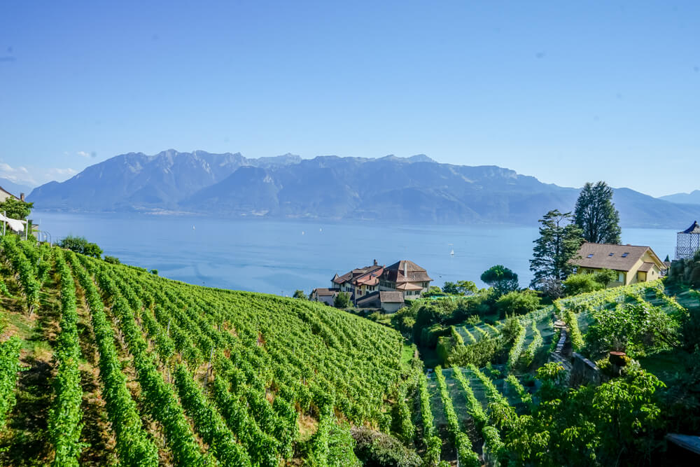 Das Lavaux im Kanton Waadt