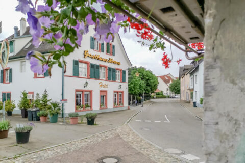 Hotel & Restaurant Krone, Weil am Rhein - symphatische Ansicht