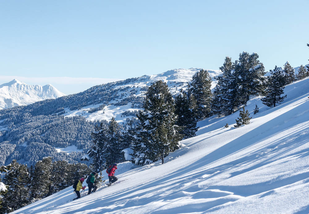 Schneeschuhwandern_Winter-aktiv_Tulfes-©Hall-Wattens.at-35-2