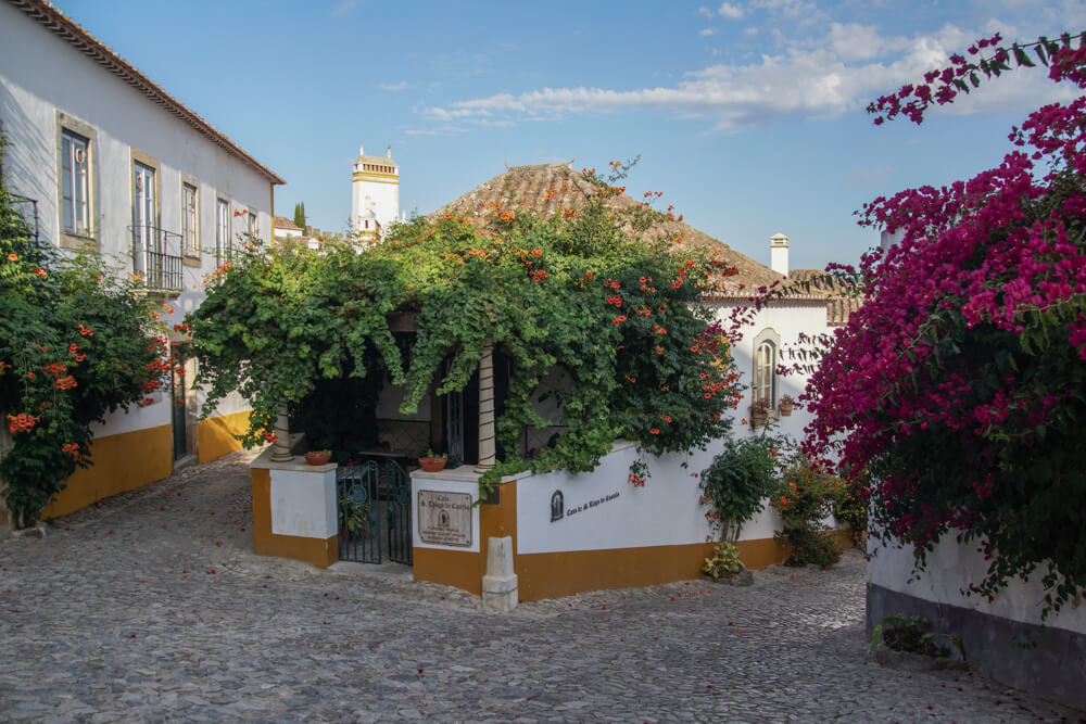 Óbidos, Portugal - Blumen und Blüten überall